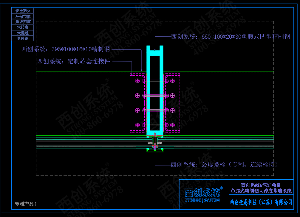 西創(chuàng)系統(tǒng)&深圳項目：魚腹式凹型精制鋼超大跨度幕墻系統(tǒng)圖紙深化(圖5)